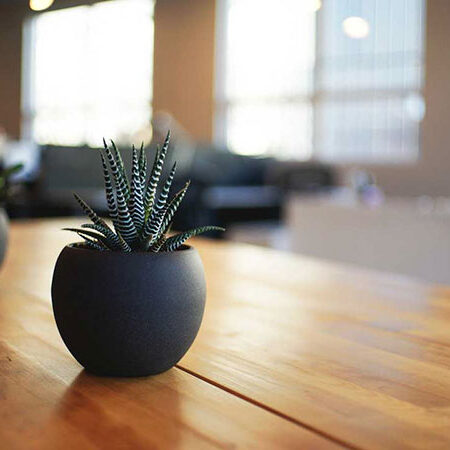 demo-pic-001