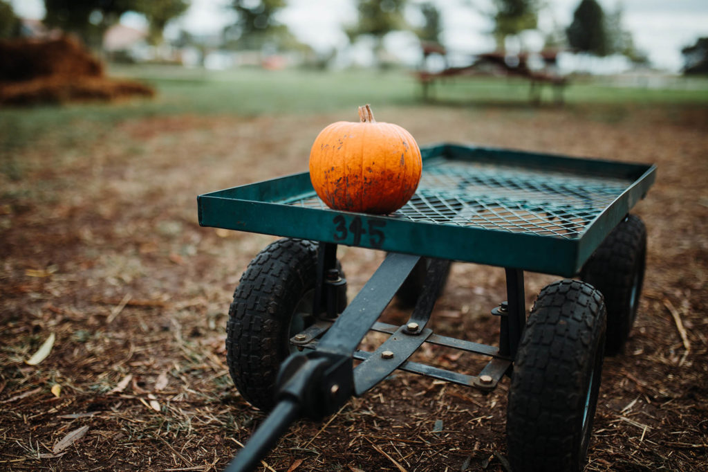 daniel-tomlinson-1102713-unsplash